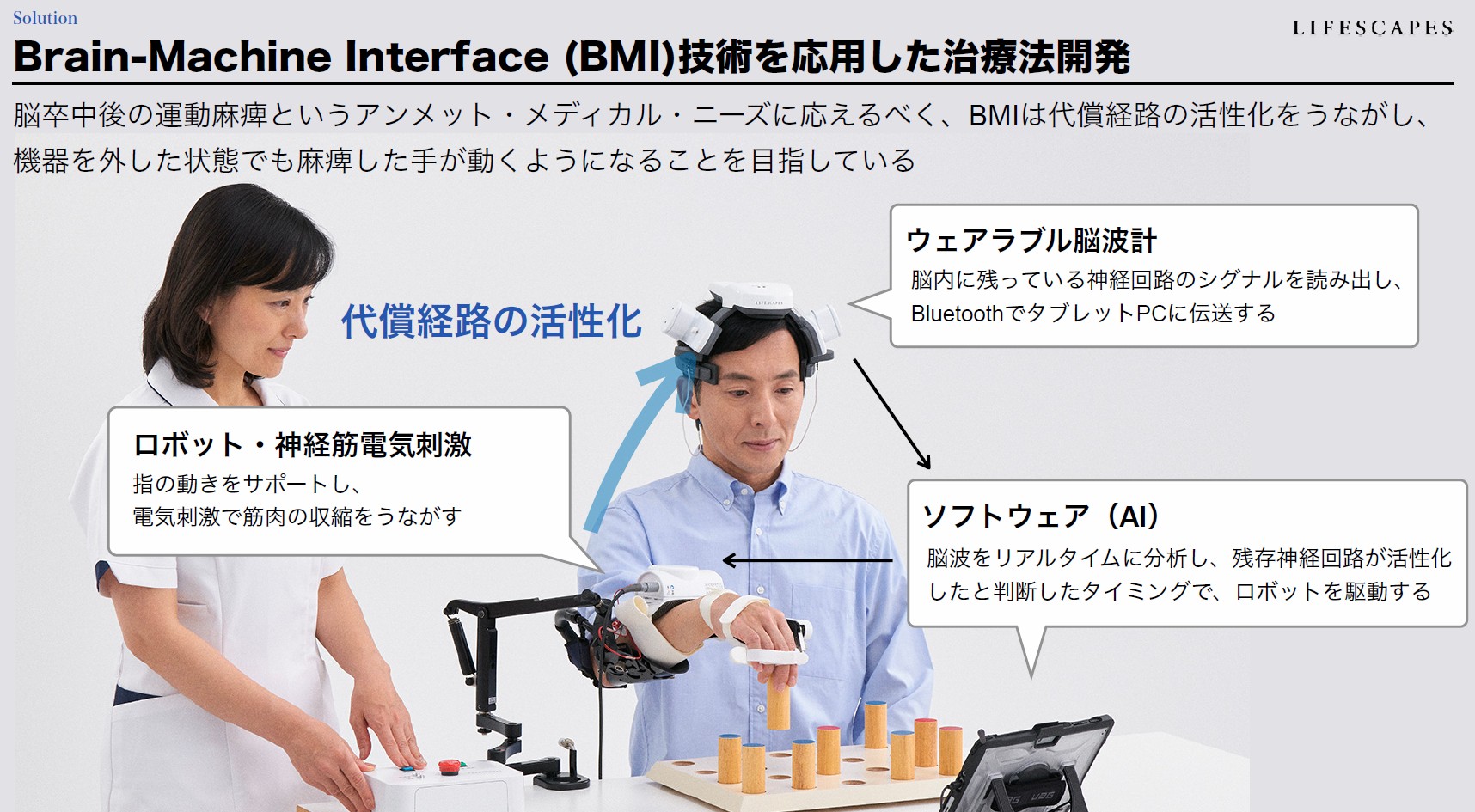LIFESCAPES社資料より